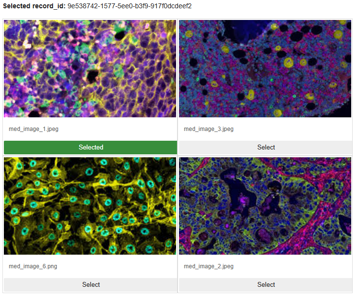 Image grid gallery